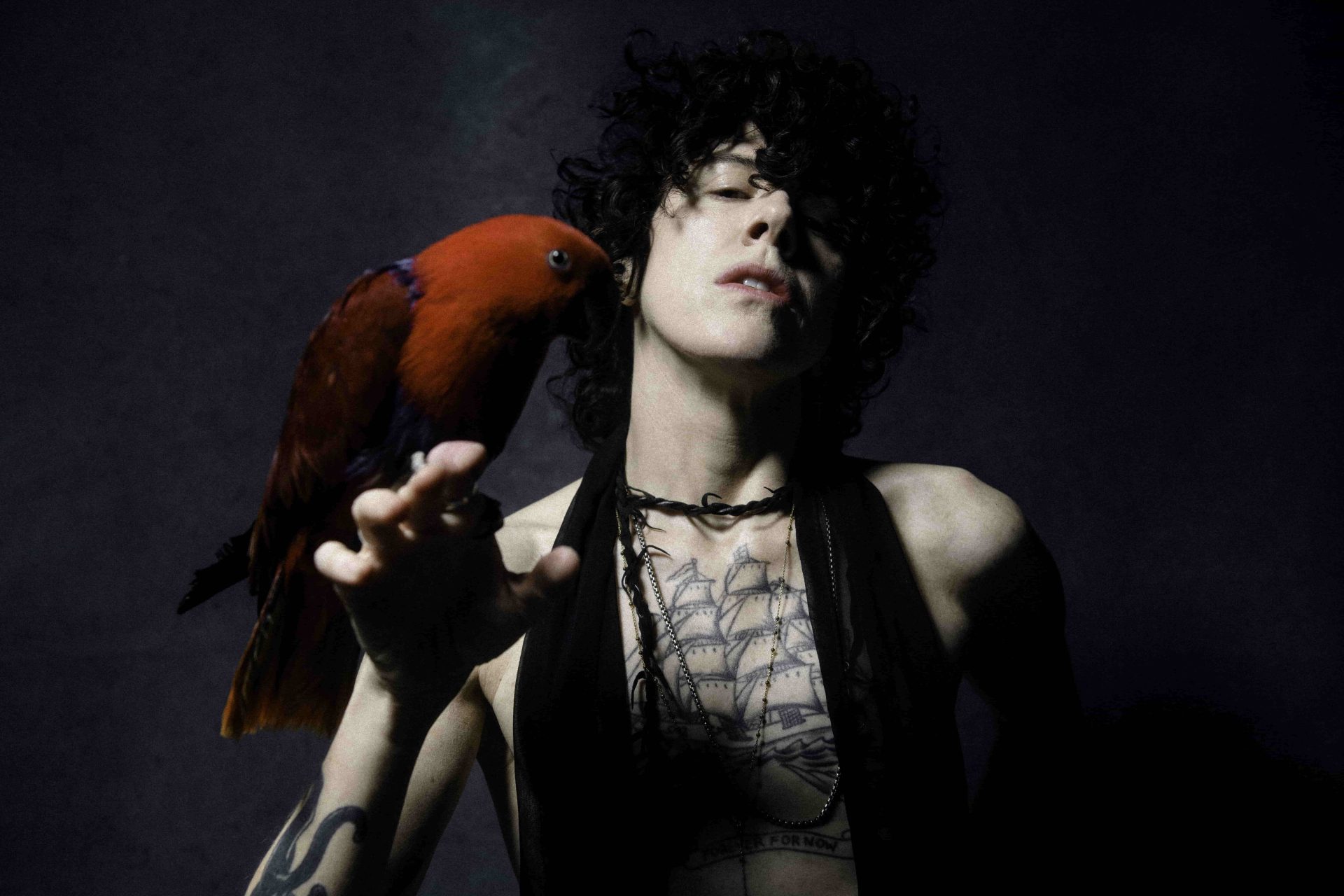 LP12