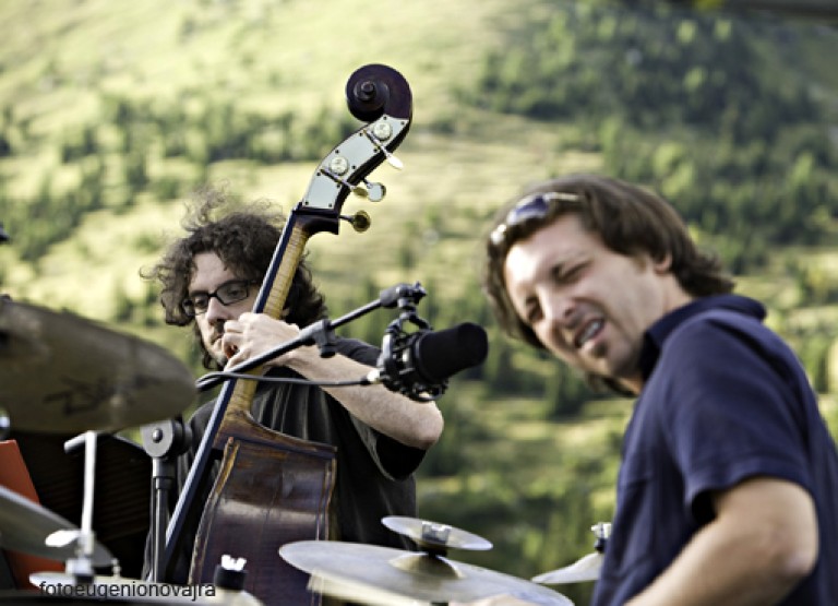 11 STEFANO BOLLANI web